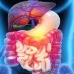 Votre microbiote intestinal, un point central de votre bien-être