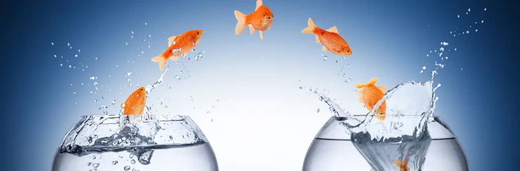 Changement, Développement personnel, Devenir, oser, se libérer des résistances, faire le grand saut