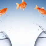 Quand le changement se heurte aux résistances intérieures