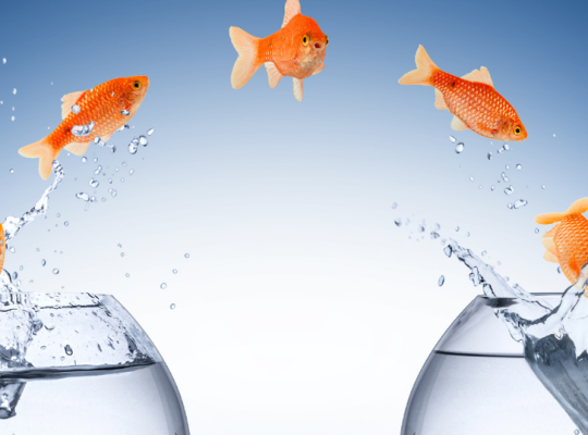 Changement, Développement personnel, Devenir, oser, se libérer des résistances, faire le grand saut