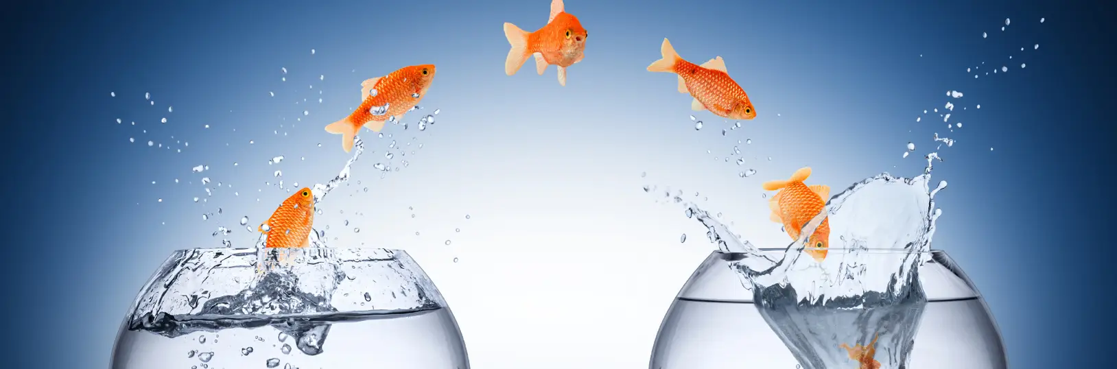 Changement, Développement personnel, Devenir, oser, se libérer des résistances, faire le grand saut